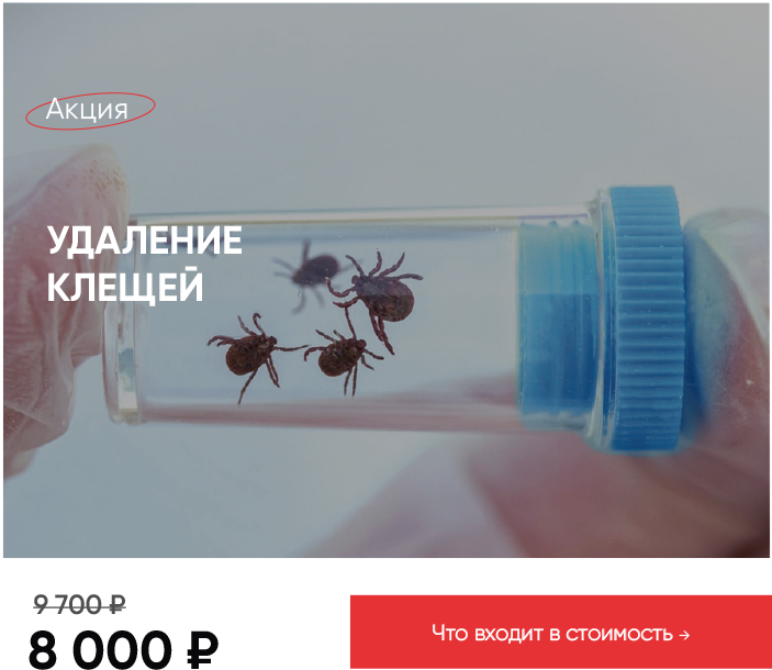 удаление клеща с анализами